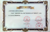 2024年度“壹棵松杯”上海社区公益创投大赛银牌项目